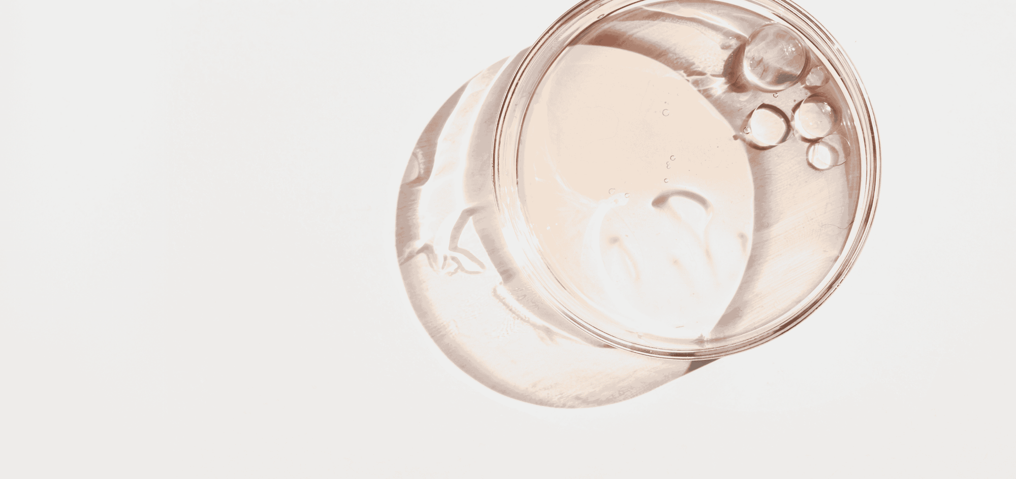 Homepage Banner Desktop