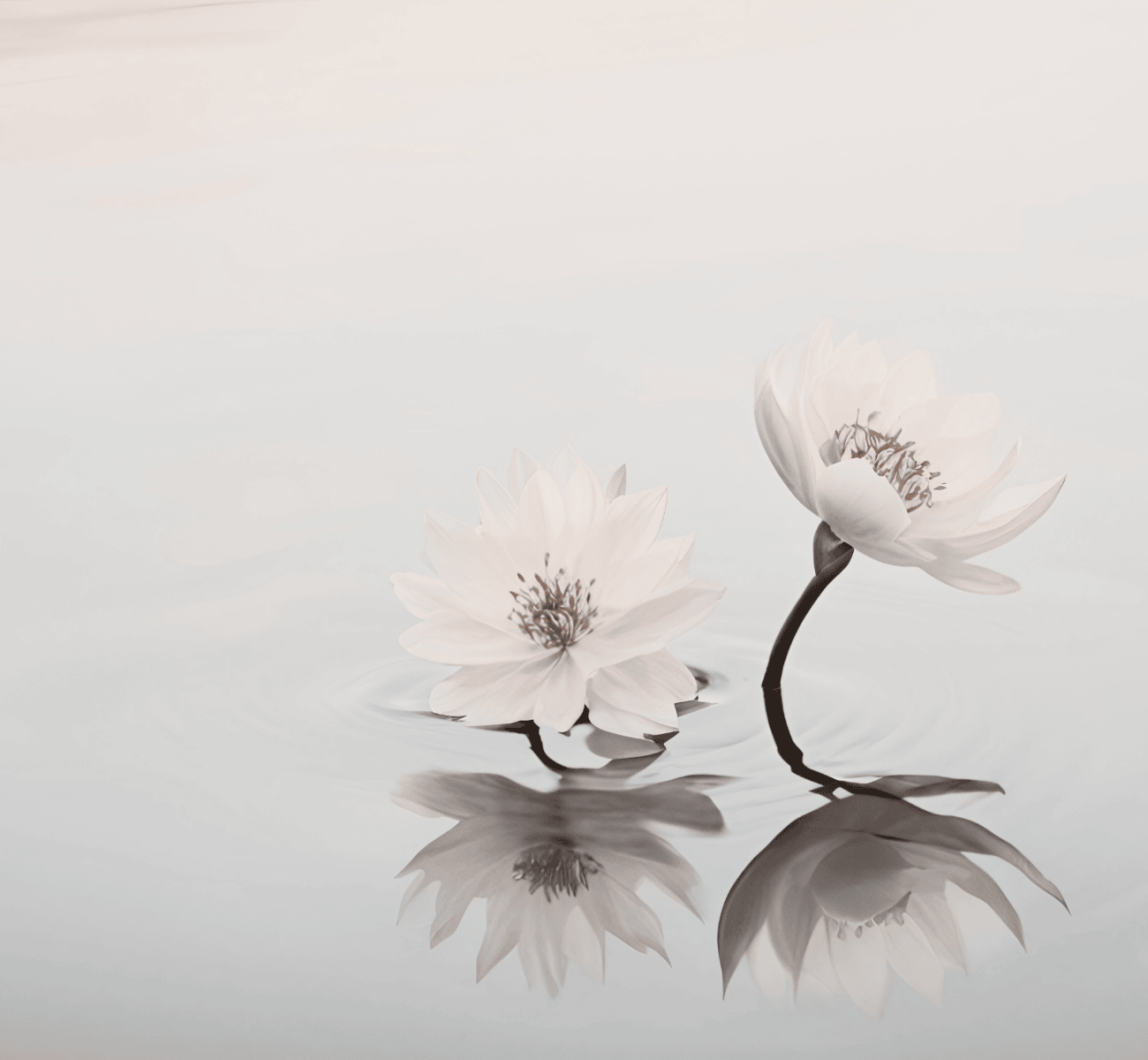 img_About__Sustainabilty